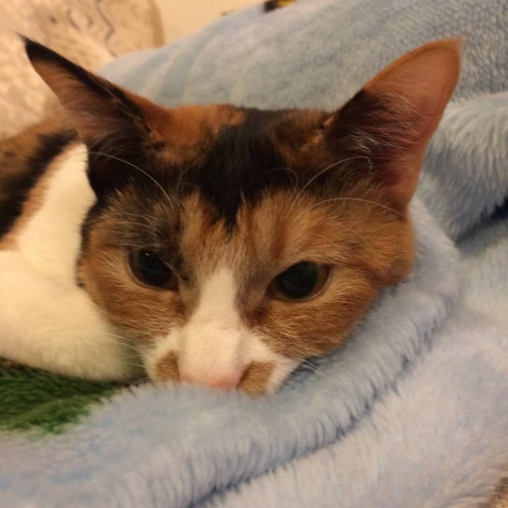 52436572 c681 4b46 8cc5 4af34b5b9feb