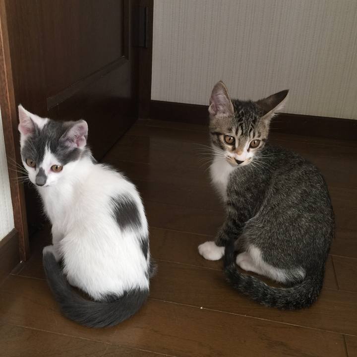 5243b654 4fa1 43dd a690 cffdfedaafd0