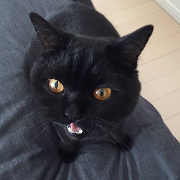 5243c000 d085 44a4 a141 ace8699980f6