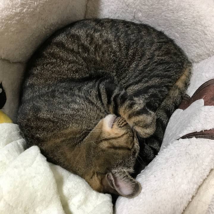 5243d5cb f671 46ee bbc6 6211d7f1999e