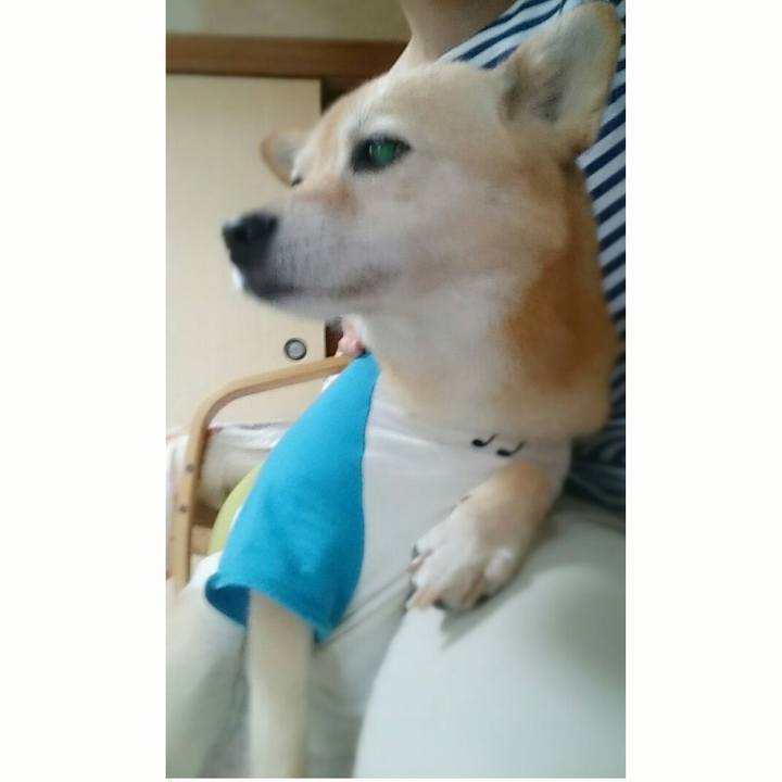 5243db0c 02b2 4624 9681 1b00c9057136