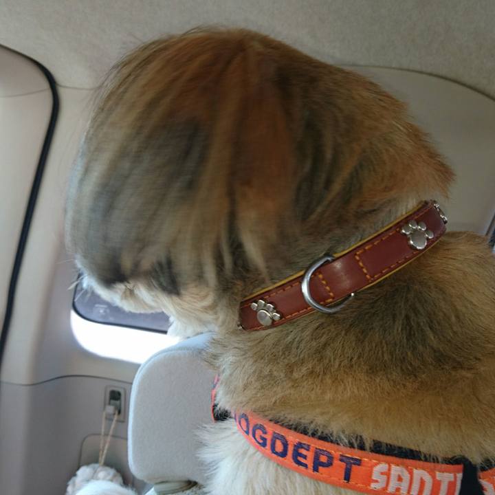 5244730f 802a 4dae 8a40 e6e0e4b94e3c