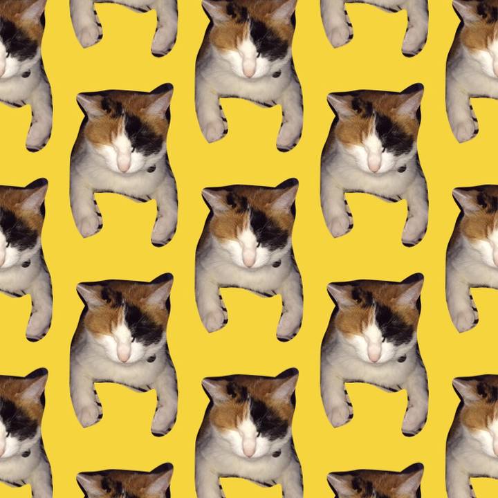 5244733c 4eef 4337 9735 a2fb0627a20f