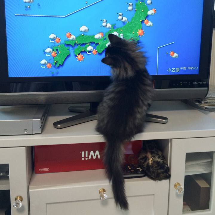 524486a7 b115 45d7 b0df 12cdb6db1c3a