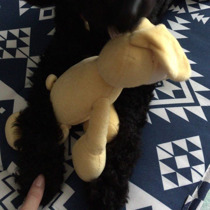 5244aaed c6d9 44b2 8973 c0dee021781f