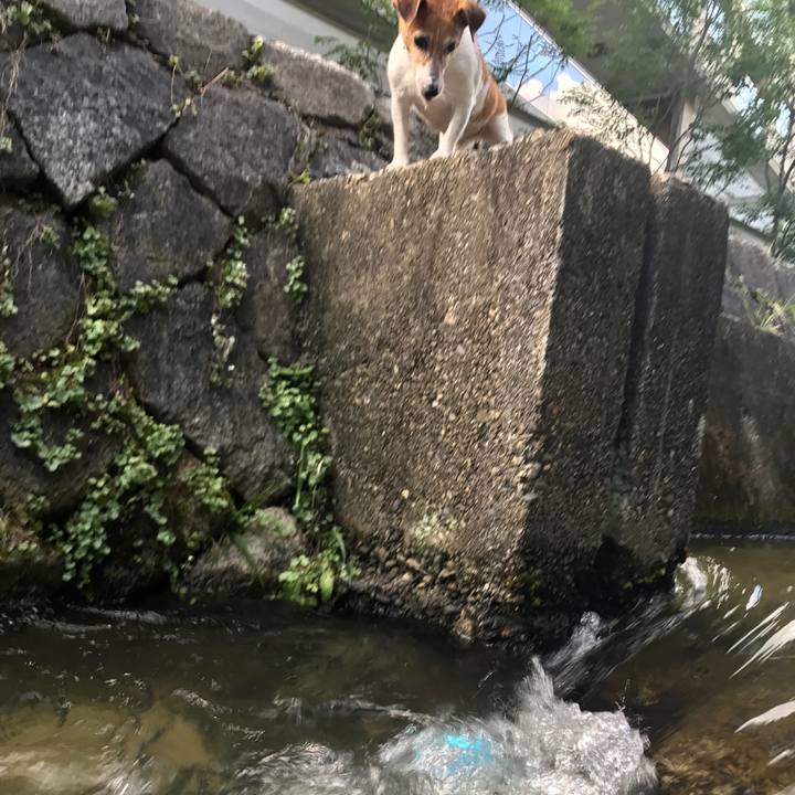 5244e92a 05f6 41f8 a833 63525497d9d0