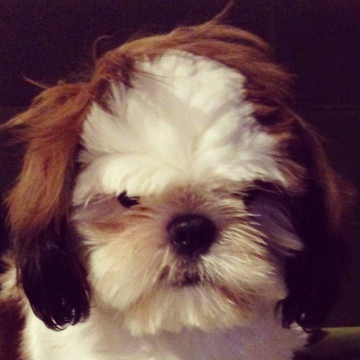 52457012 1997 4792 945b 3893bdf0c6c5