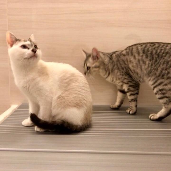 52464e5c 69fe 478e 9ae5 86afe9d35a11