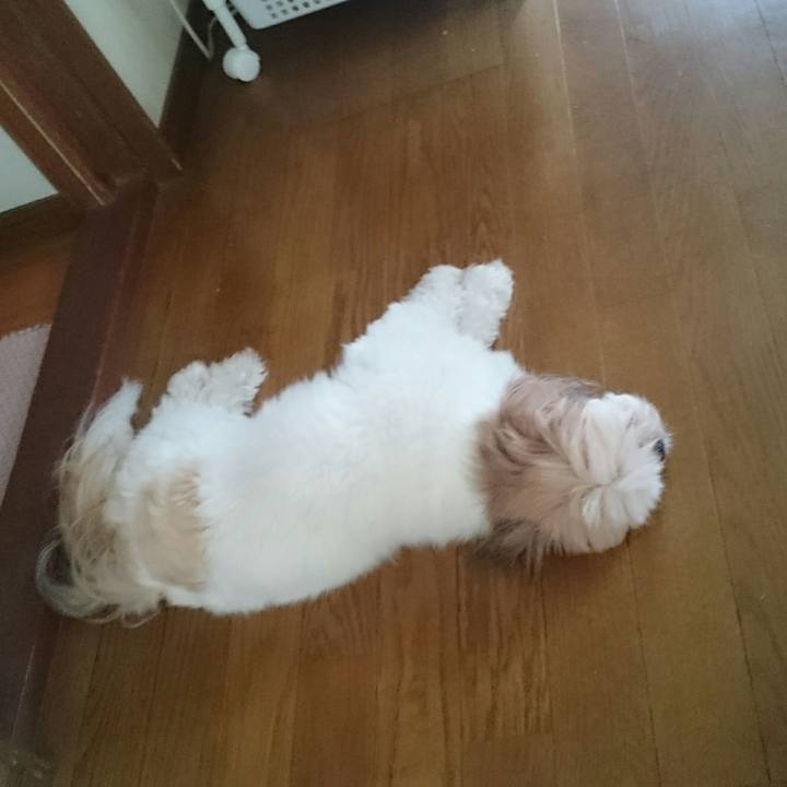 5246e206 8e2e 41ed be13 1d3d54d348ce