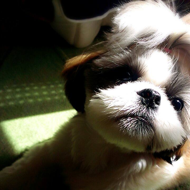 5246e2c7 2b4e 471a aa43 689acd7dbfaf