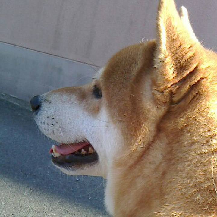 52473148 9ee6 47d4 8359 883a0d4ba379