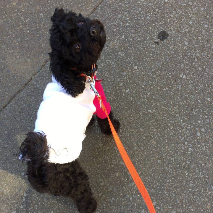 5247a10e 7ae5 41f5 b99d b5fd222375bf