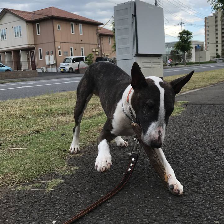 5248ad53 f776 4da0 972a 5e9cb01c8775