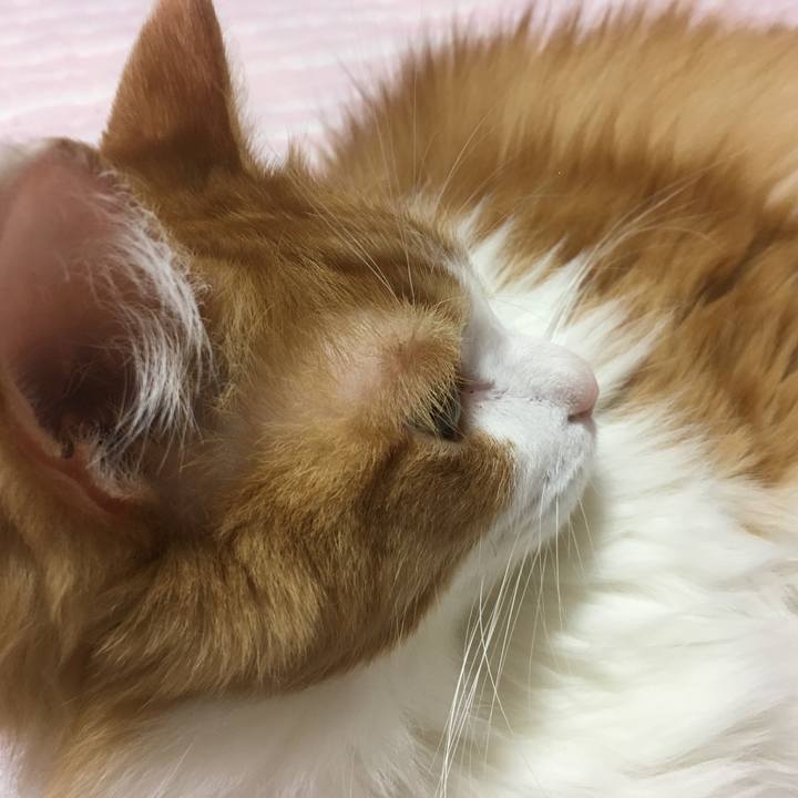 52498285 980b 49aa a5af 8b6632aa3d57