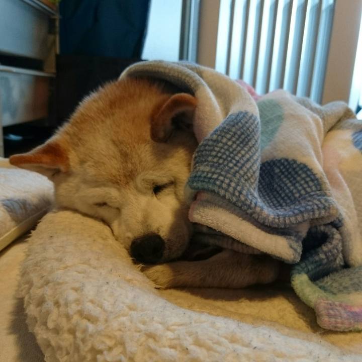 5249bd7b cba3 4e86 8650 1bc6b717a523