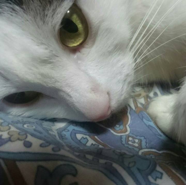 524a1718 7821 4367 86e3 0f2789366c15