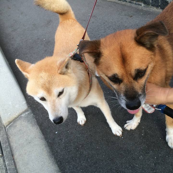 524ae0fe df0a 4e8e 94c1 38487d420e48