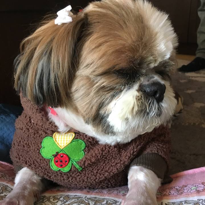 524b0d60 eb6f 405e a772 3d6b85326126