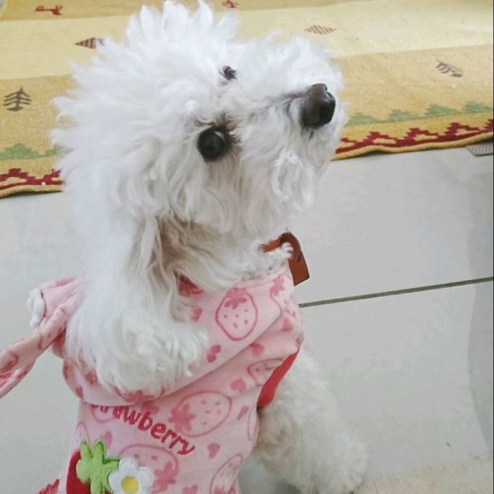 524b352f 4b93 4348 86b3 252ce2d04e29