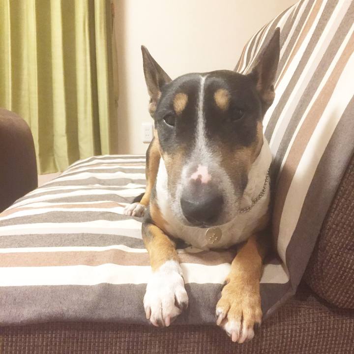 524b683d ca36 4337 a124 4d8afe96ffe9