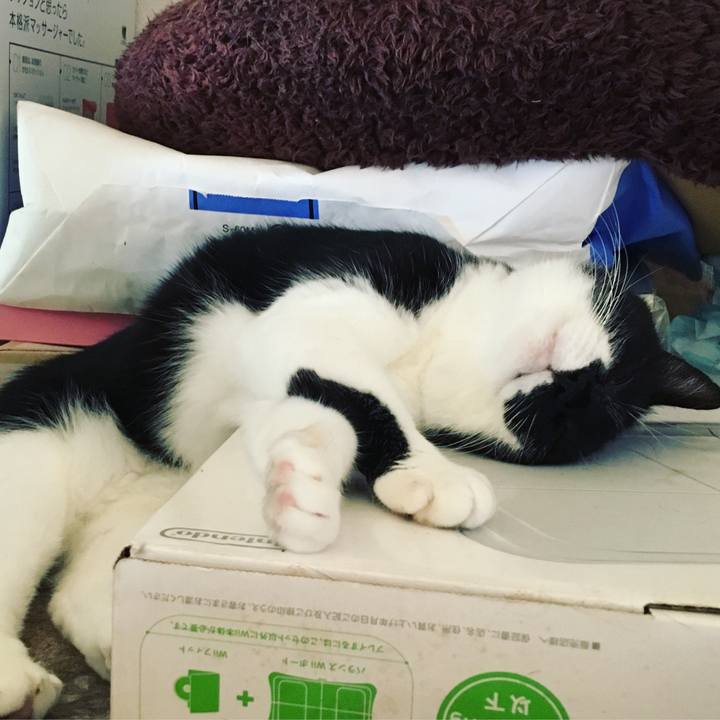 524bbaad 37d0 4750 881b 27cc9c274316