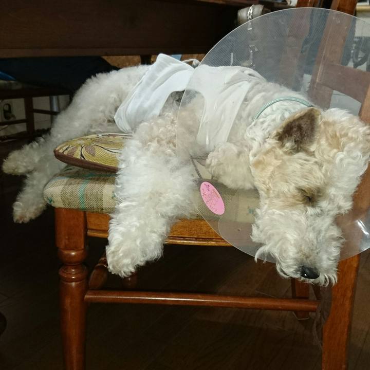 524c3462 f748 4451 98d3 1001adf75e15