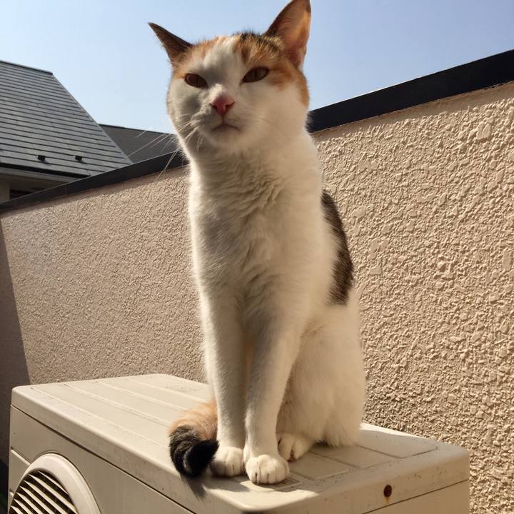 524c8ff7 29f6 4739 85cf a48e87679fe5