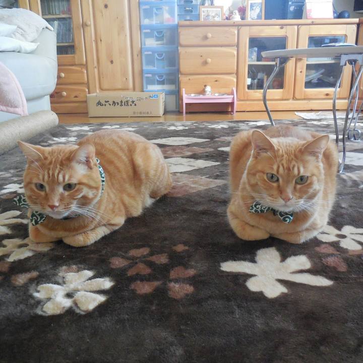 524d09fc a8ff 4368 9f7c 3e43c936dc37