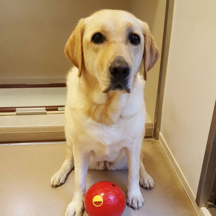 524d9e0d 0081 4c36 baea b474ea1a7ee8