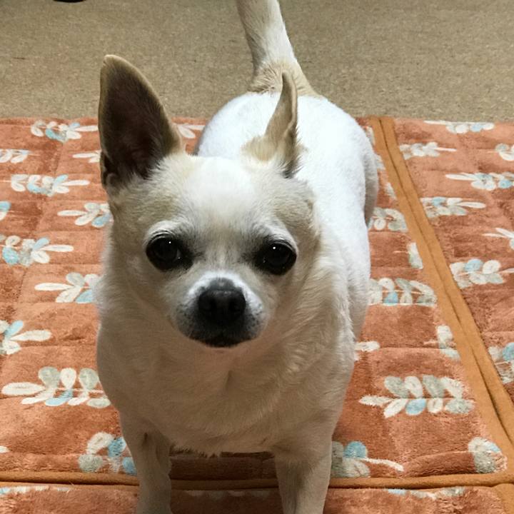 524debba b1c0 4f7e aa16 5fee7a356942