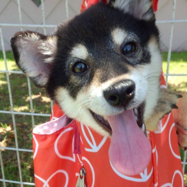 524ed440 9971 45c2 9300 518483e732ed