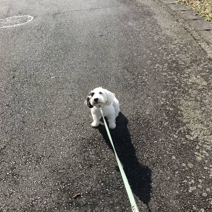 524f564d 3bce 40e3 b928 c3cd0731d7e5