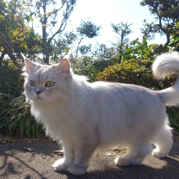 524faedc 36e8 4e56 9ba8 8f805d4f5ecd