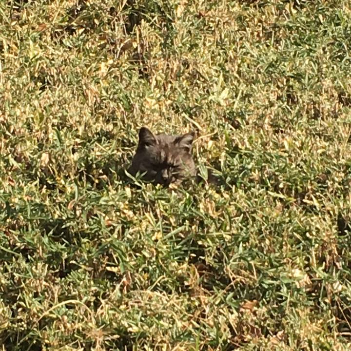 525001f7 befb 43be 9418 7bcb67bd5cc3