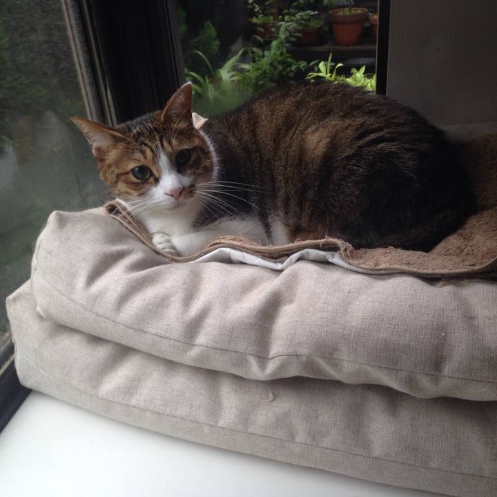 52500c9b 31de 4426 97ec 8d59fd6d1a93