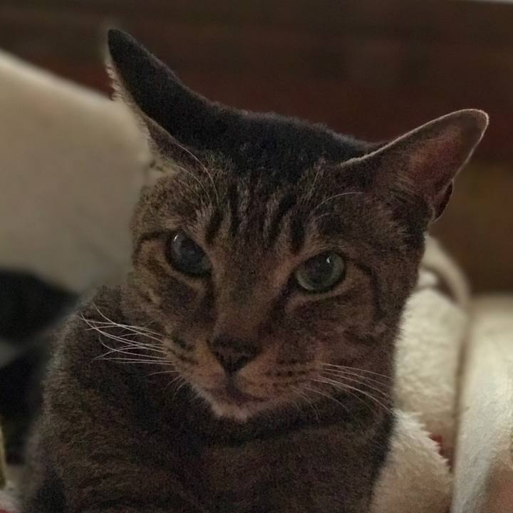 52501ff6 709b 4252 97e9 2ff510f2abac