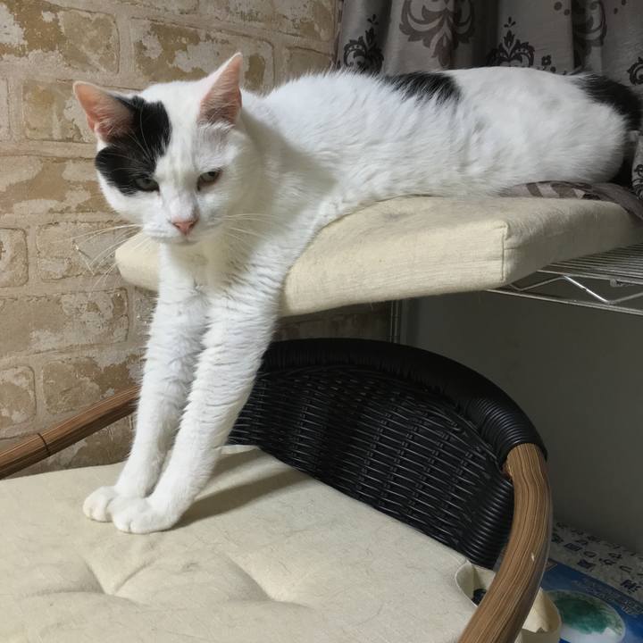 52502b1e 99e3 49d9 b3a8 e219b38c1588