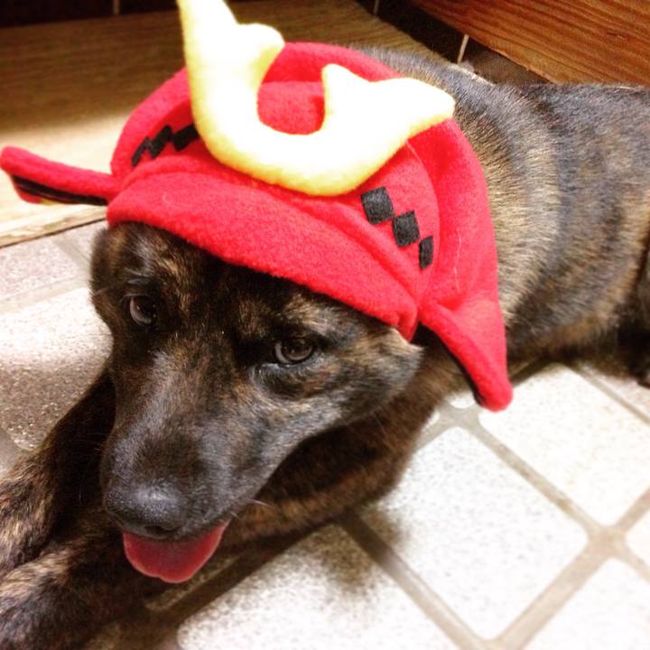 525045ce b3c4 47c1 96cd ff11ac3d901d