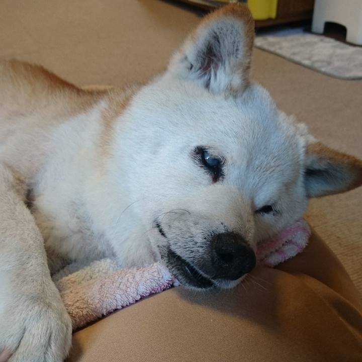 52504b27 4b7b 4a9b 8b40 da71f586e8b8