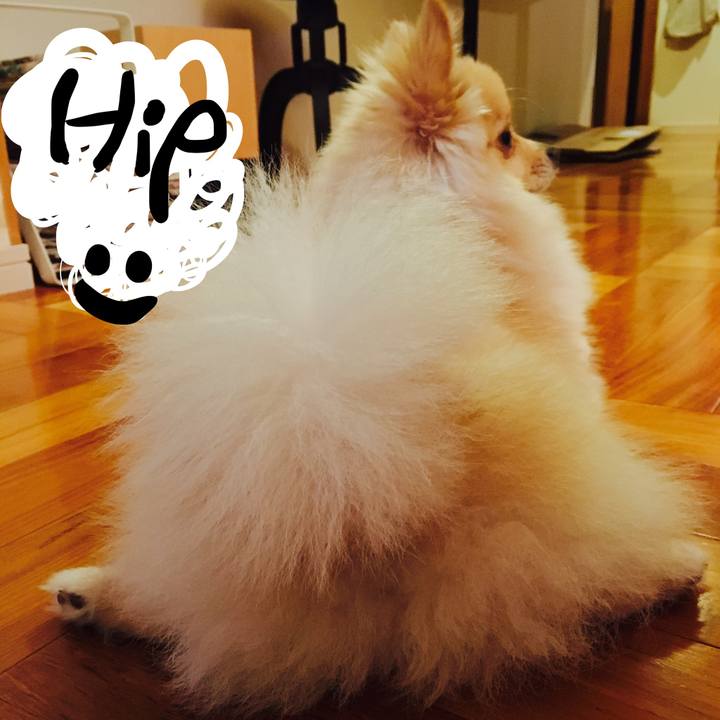 525093d1 bd66 4bcc bc58 7eed9bc45a86