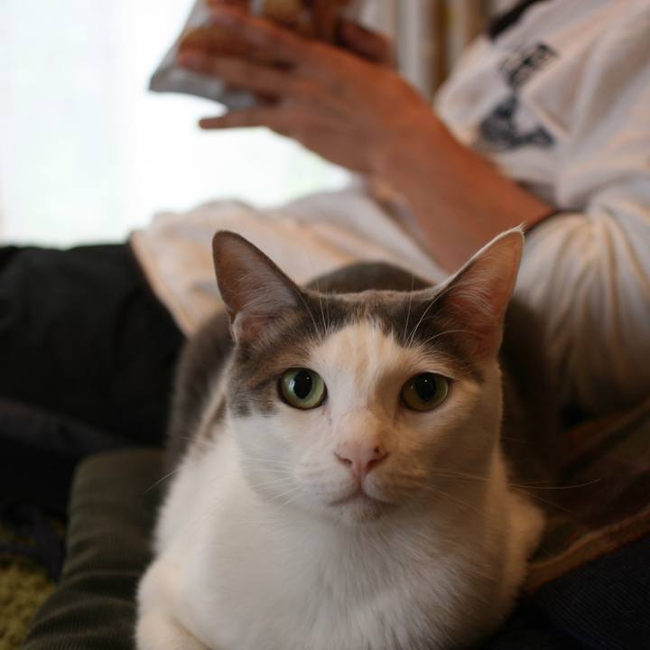 52510dab bad1 4aec b0b8 09639be10caf