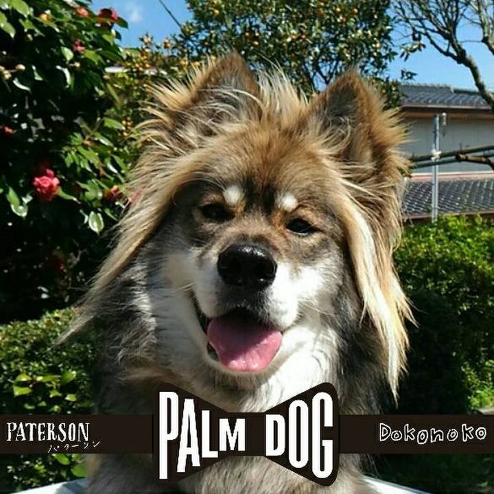 52515fee 8aae 472b b3f5 d4c915823334