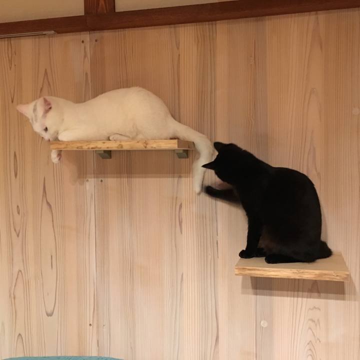 5251acf3 0002 4187 bb4d 9d06d18300d4