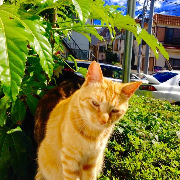 52522006 9970 4bce 8491 e1146de68a70