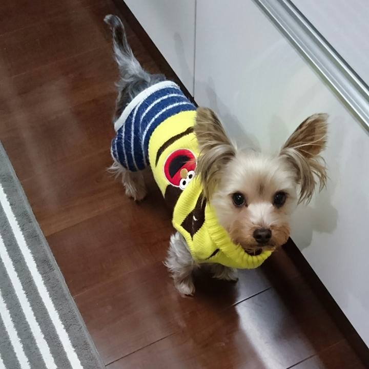 5252258f 87b6 4040 9de6 a5f75b7d6943