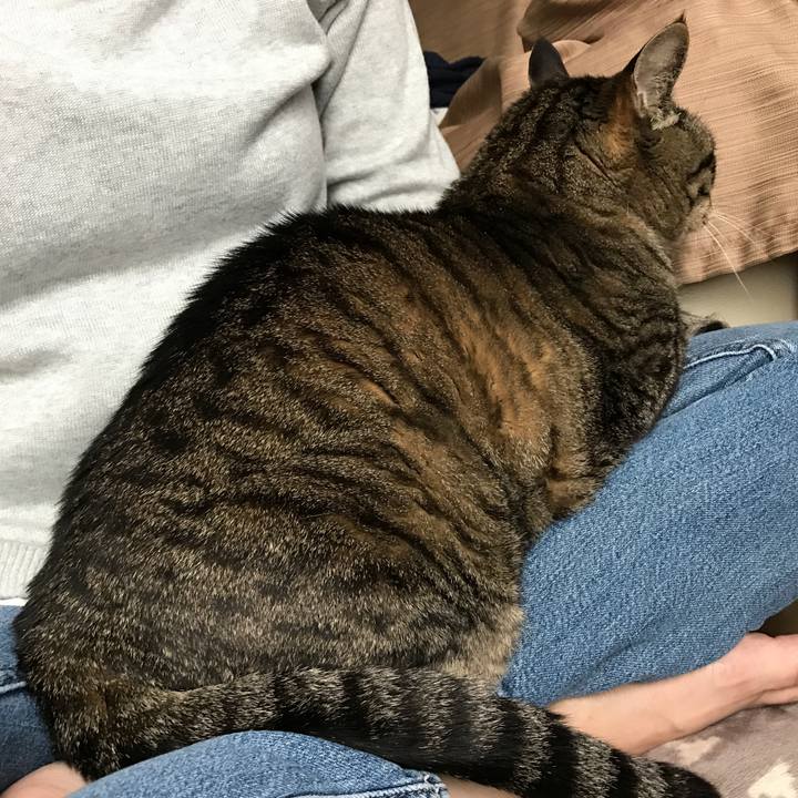 52525578 bd5b 46e9 9e96 14cc2fedecdc