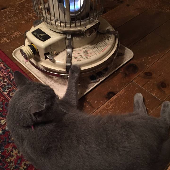 525295a2 7a90 4975 aa08 36caedbd27b2