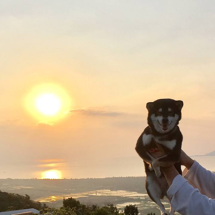 5252a1d2 9e2d 4df5 86b7 5b86c6a829f3