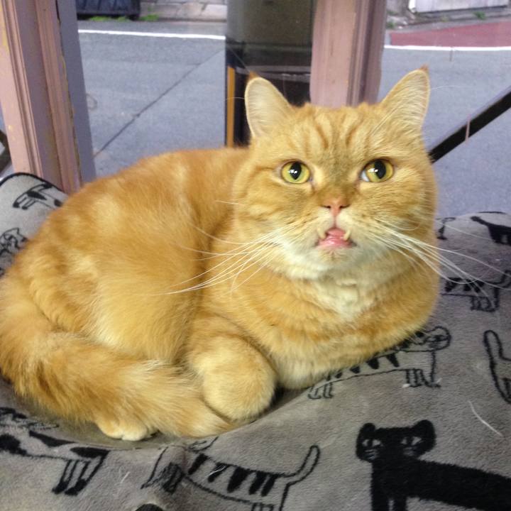 52535e2b 1984 4b11 907f 625741eec6ca