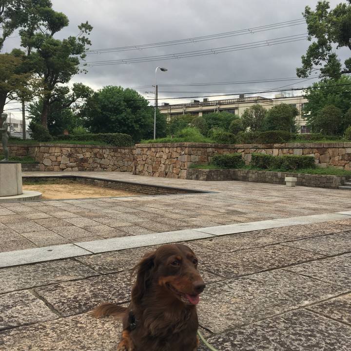 52541592 fff0 4f6a b526 db107d33e753